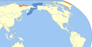 Rhodostethia rosea map.svg