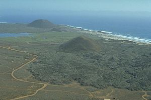 San Quintín Volcanic Field