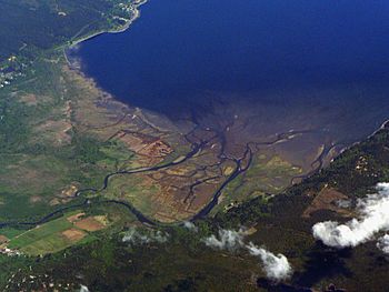 Skokomish River Delta 07772.JPG