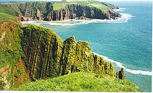 South Coast of Caldey Island. - geograph.org.uk - 113045.jpg