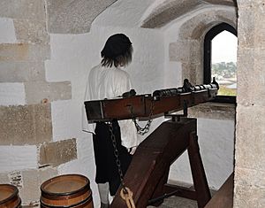 St Mawes Castle 2