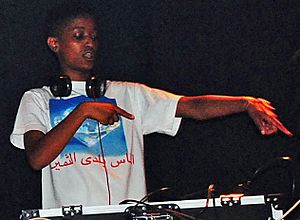 Syd tha Kid Toronto 2011.jpg