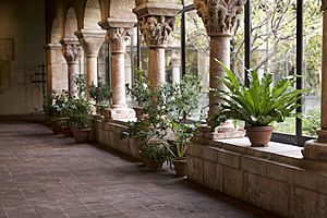 The Cloister Pillars V