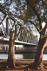 Trees Near Puente Calixto Garcia.jpg