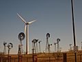 Windmills at American Wind Power Center in Lubbock, TX IMG 0220