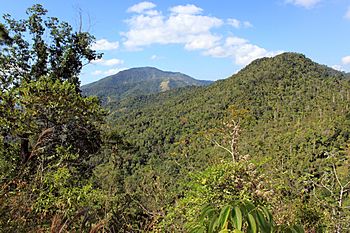 2012-02-Sierra Maestra Turquino Nationalpark Kuba 02 anagoria