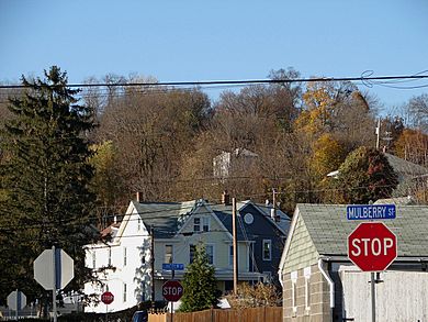 Alley, West Fairview, PA