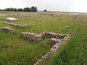 Area archeologica di Herakleia e Siris - 3.jpg