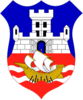 Belgrade Coat of Arms differrent colors.png