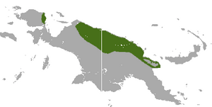 Black-spotted Cuscus area.png