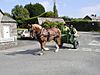 Blisland, Horse and Riders. - geograph.org.uk - 224948.jpg