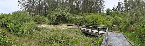 Bog Trail, Colma Creek headwaters