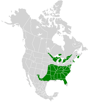 Callophrys henrici range map.PNG