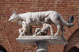 Capitoline Wolf at Siena Duomo