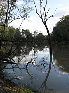 Condamine River ChinchillaQLD 2012mar