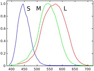 Cones SMJ2 E