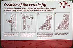 CreationOfTheCurtainFig