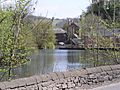 Cromford Pond 1