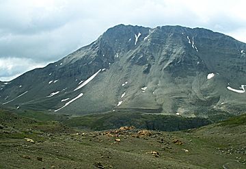 Curator Mountain in Jasper.jpg