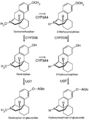 DXM metabolism