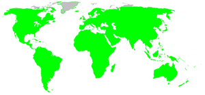 Distribution.theridiidae.1.png