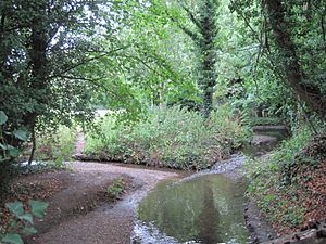 Dollis Brook Folly Brook