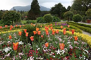 Flower Garden at Muckross House