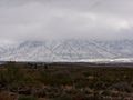 Franklin Mountain Snow