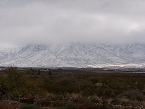 Franklin Mountain Snow