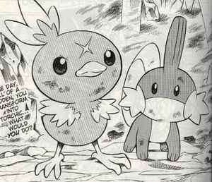 Ginji and Mudkip.jpg