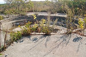 Gun number 2 of Battery Jewell, Outer Brewster Island, Massachusetts