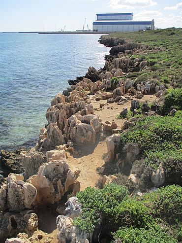 Henderson Cliffs, Western Australia, August 2019 05.jpg