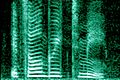 Human voice spectrogram