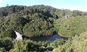 Karori Upper Dam 01