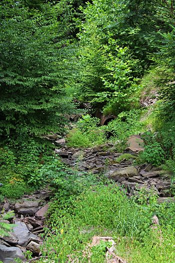 Kern Glen Creek looking upstream.jpg