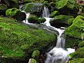 Las Trampas Waterfall