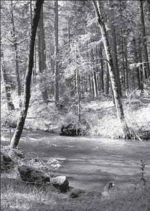 Little Applegate River bw.jpg