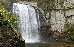 Looking Glass Falls 2012.jpg