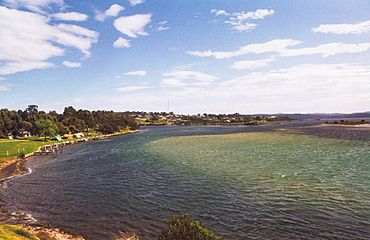 Mallacoota 1.jpg