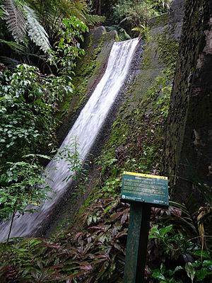 Mangarata Reservoir, Hakarimata