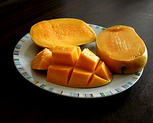 Mango kesar variety.JPG