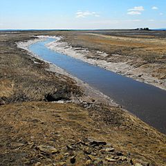 Missaguash River