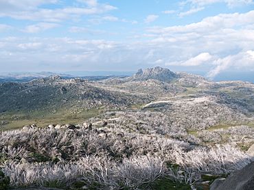 Mt buffalo plateau.jpg