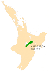 NZ-Kaingaroa F