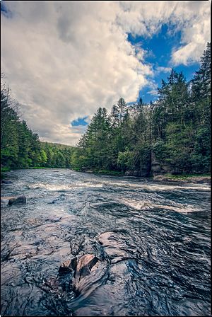 Neversink river