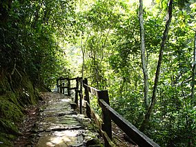 Parque Nacional Guatopo Guárico.jpg