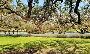 PedernalesRiverLBJRanch09MARCH2019