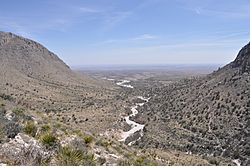 Pine Springs Canyon.JPG