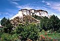 Potala-from-behind 07-2005