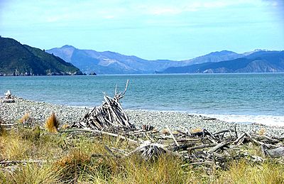 Rarangi Beach